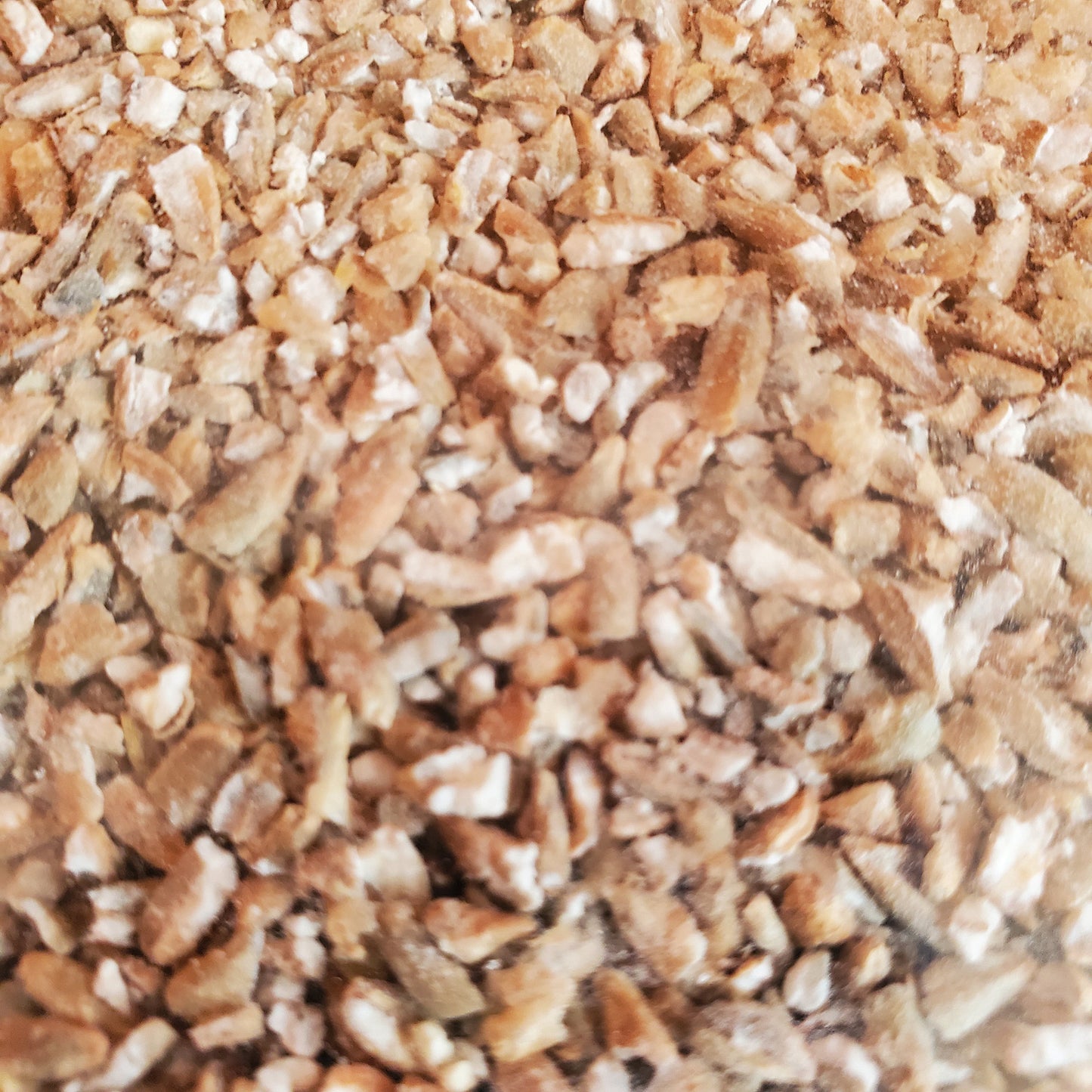 ライ麦 挽き割り1 kg 無肥料・無農薬/自然栽培麦| にちげつ堂